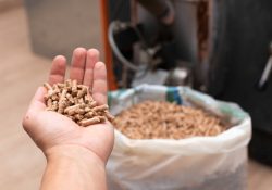 Zoom sur la chaudière biomasse