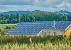 Guide d'achat des panneaux photovoltaïques