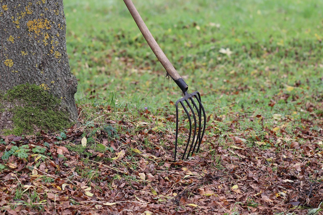 découvrez notre sélection d'outils de jardinage de haute qualité, conçus pour faciliter vos travaux de jardinage. que vous soyez un jardinier amateur ou un professionnel, trouvez l'équipement idéal pour entretenir vos plantes et embellir votre extérieur.